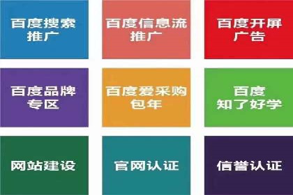百度推广代运营公司成功案例解析